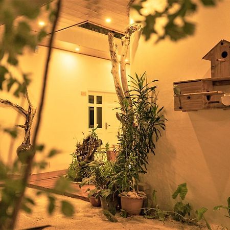 Nala Island Village Maafushi Exterior foto